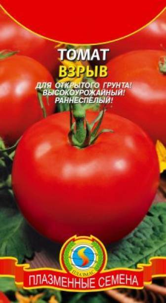 Сравнительно новый, но уже полюбившийся многим овощеводам сорт томатов «взрыв», описание, характеристики, урожайность