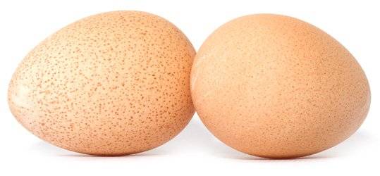 Цесариные яйца: польза и вред, сколько варить