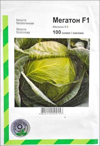 Урожайный голландский сорт капусты мегатон: характеристика, технология выращивания и особенности ухода
