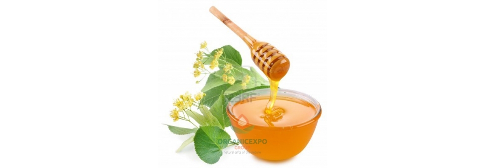 Липовый мед: полезные свойства. лечение заболеваний липовым медом