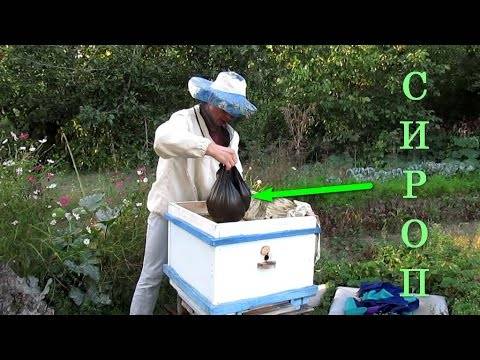 Как подкормить пчел зимой