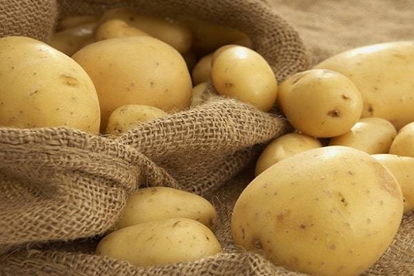 Мерлот: описание семенного сорта картофеля, характеристики, агротехника