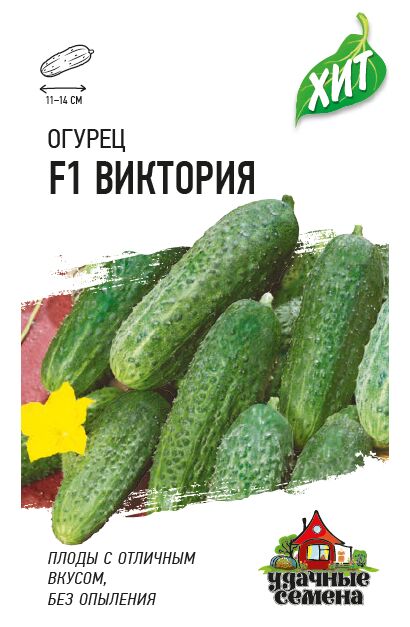 Сорт огурцов туми f1: описание, выращивание и уход