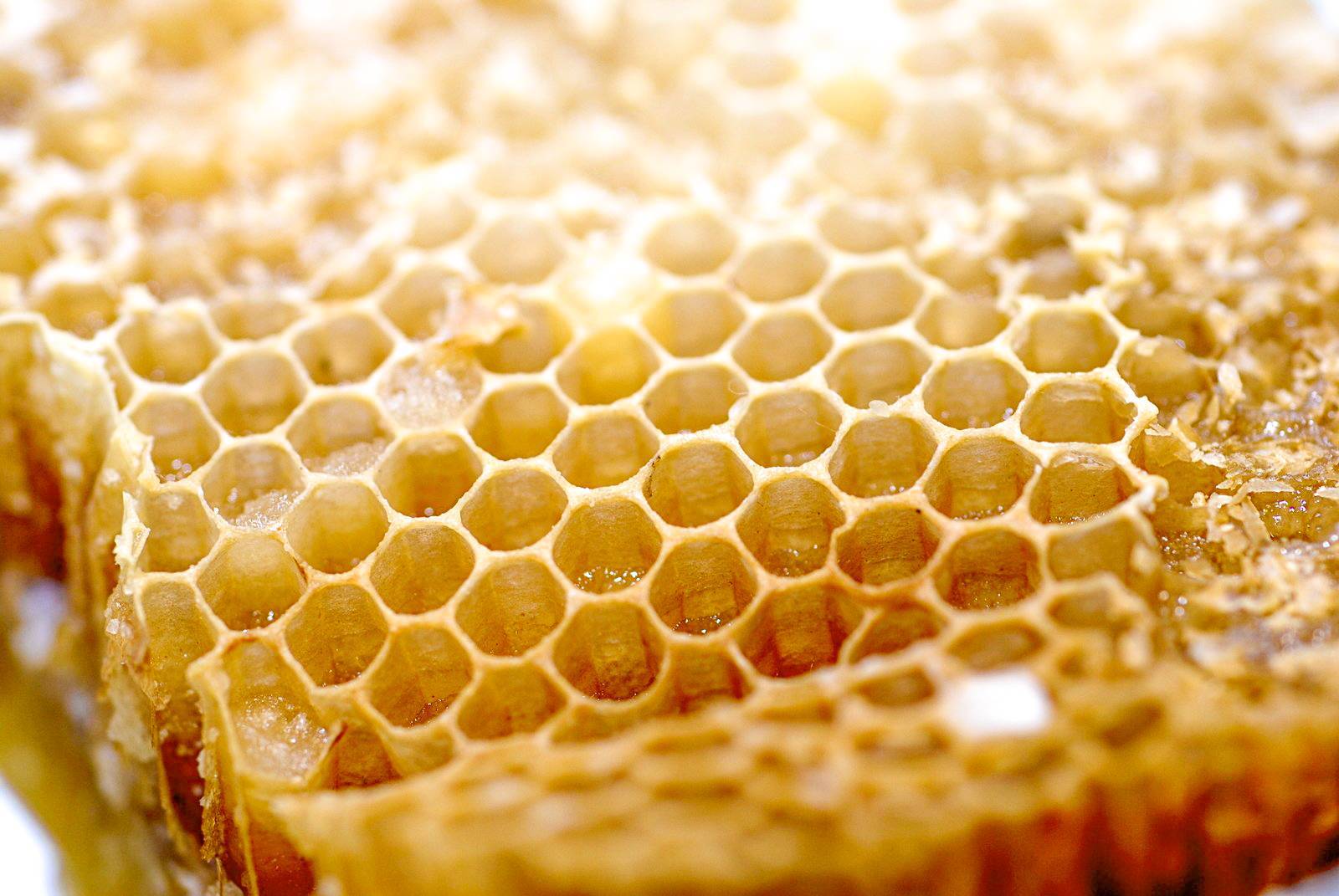 Пчелиный воск — свойства, состав и применение