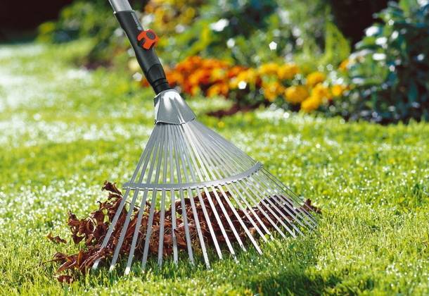 10 основных ошибок при поливе огорода