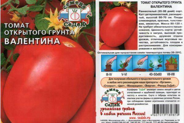 Томат тамара: описание сорта помидор, особенности выращивания и фото