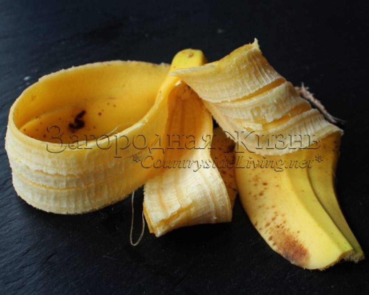 Банановая кожура для рассады как приготовить