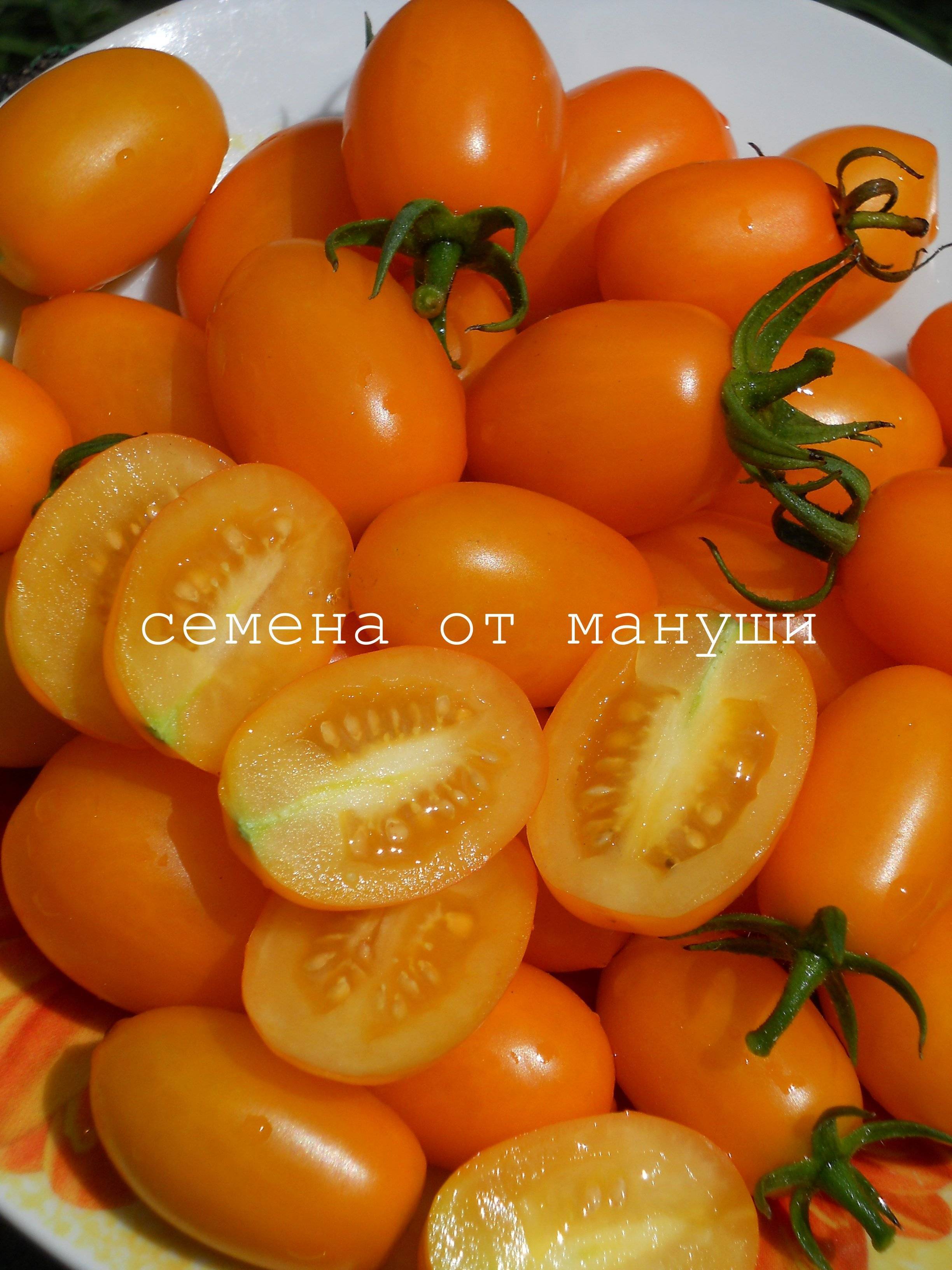 Финик оранжевый. Семена томатами финики желтый. Томат финик желтый. Томат финик оранжевый. Черри финик оранжевый.