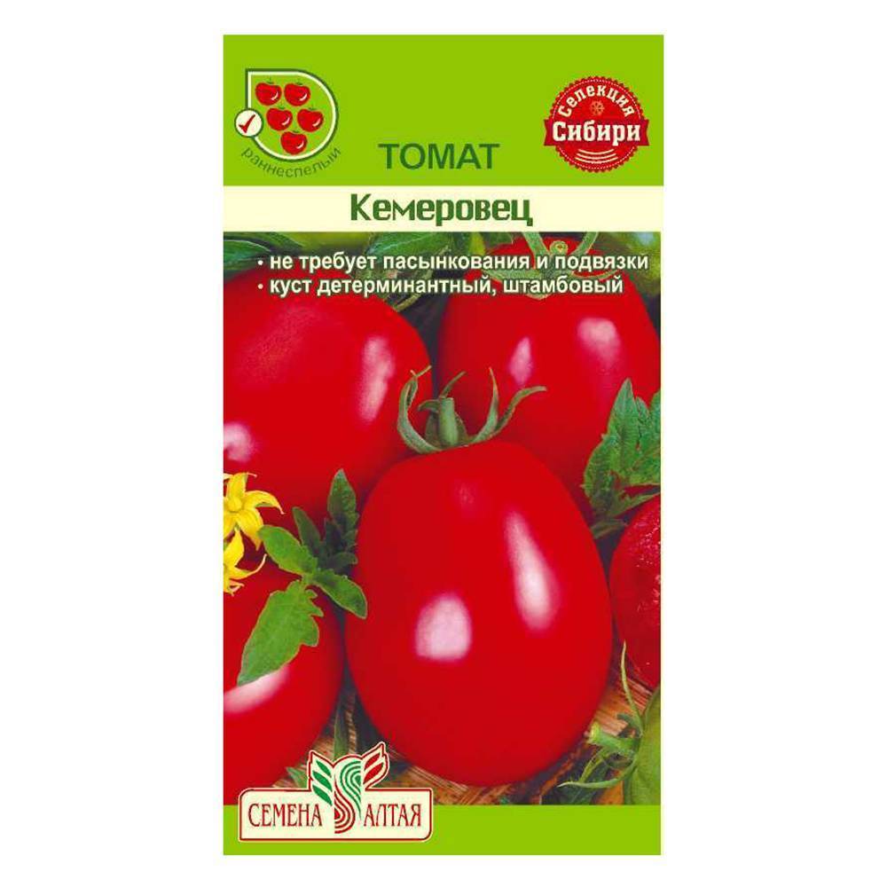 Сорт томата кемеровец
