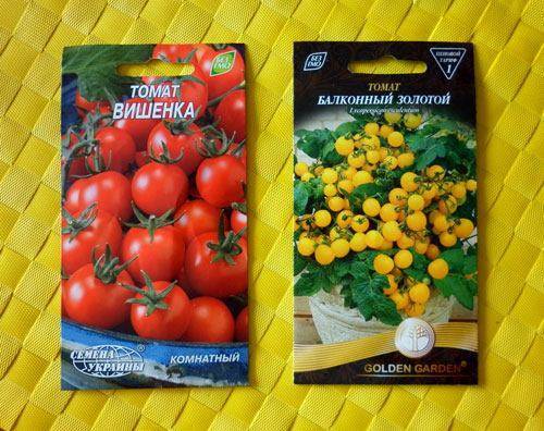 Как правильно выращивать томаты в горшках: условия выращивания помидор в горшках