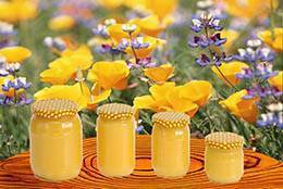 25 видов меда: его полезные свойства и противопоказания, для мужчин, женщин и детей