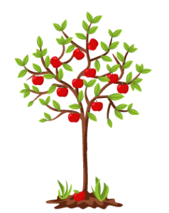 Посадка яблони: как правильно посадить саженец осенью и весной (фото, видео)