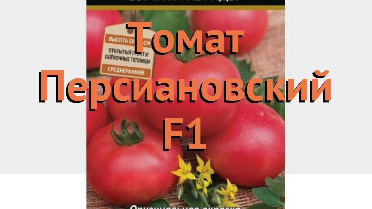 Томат персей характеристика и описание сорта фото