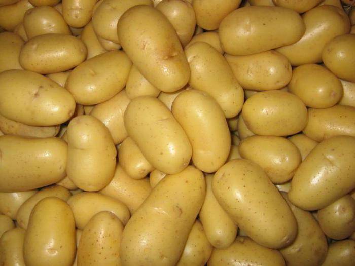 Скарб — картофель белоруской селекции