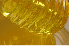 Кипрейный мед: польза, доказанная временем