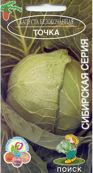 Топ 40 лучших сортов капусты белокочанной с описанием и характеристиками