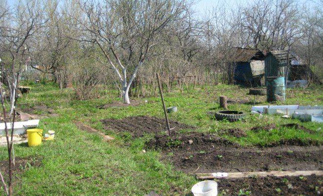 Подготовка огорода к зиме – все про осеннюю обработку почвы