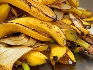 Способы применения банановой кожуры: как удобрение для огорода