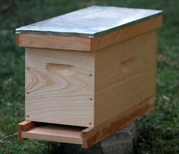 Пчеловодство: расписание на август