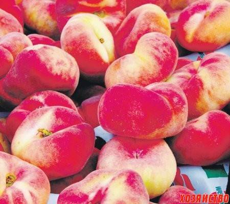 Что за фрукт – инжирный персик?