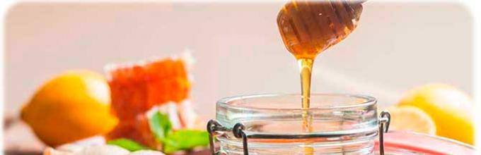 Как лучше употреблять мед с пользой для организма, употребление меда с утра