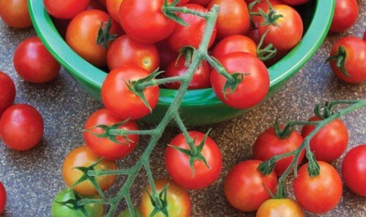 Описание и характеристика сорта томатов рапунцель