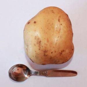 Тимо: описание семенного сорта картофеля, характеристики, агротехника