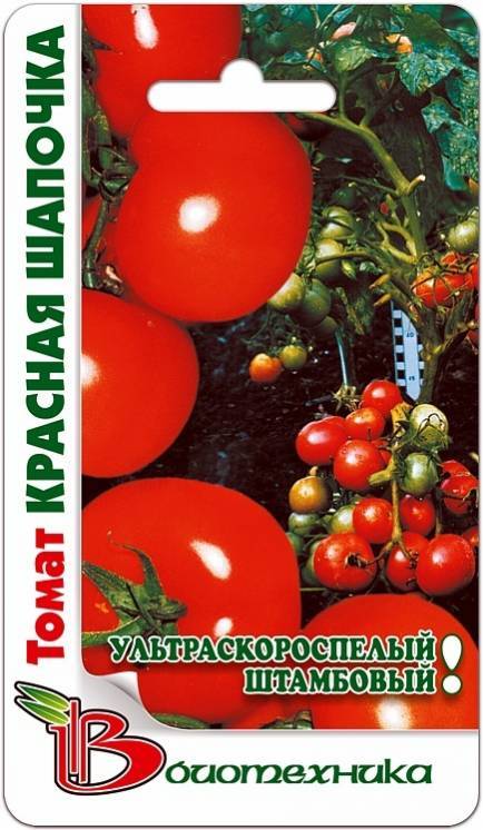 Томат "красная шапочка": характеристика, описание сорта, выращивание и фото помидоров