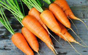 15 лучших сортов моркови для свежего употребления и хранения