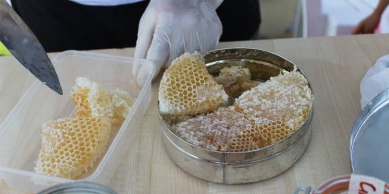 О хранении меда в сотах в домашних условиях, как сохранить соты с медом дома