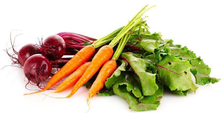 Первый посев в апреле-мае: свекла, морковь, редис. как правильно? когда сеять на грядки морковь, свеклу, редис