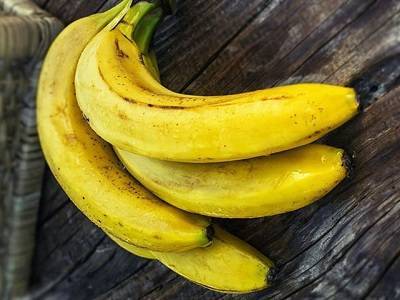 Банановая кожура как удобрение для рассады помидор, корки для полива