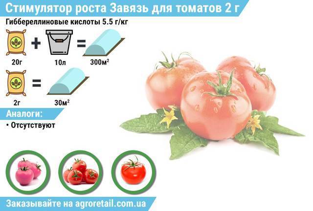 Можно ли опрыскивать помидоры во время цветения, чем обработать