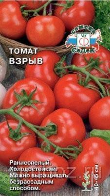 Сорт томата «взрыв» — ранний урожай, отличное хранение!