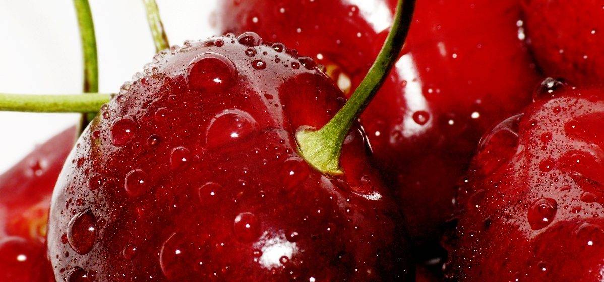 Как избавиться от червяков в черешне собранных ягодах на webspoon.ru