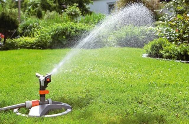 Как правильно поливать газон?