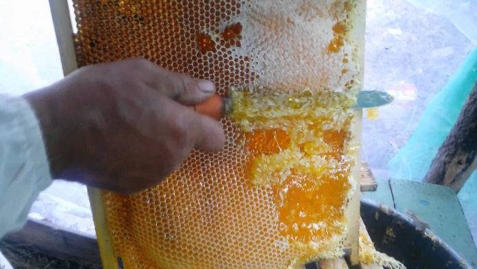Самые популярные способы откачки мёда в домашних условиях