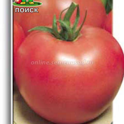 Дикая роза: описание сорта томата, характеристики помидоров, посев