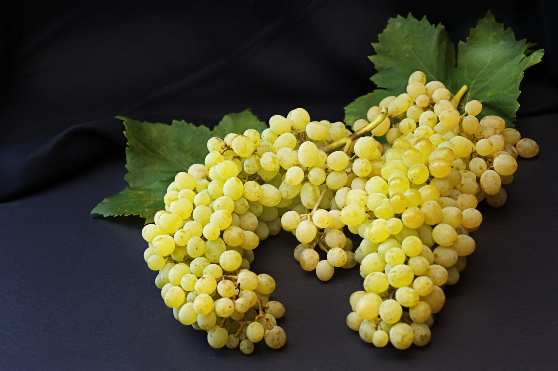 Виноград дамские пальчики или хусайне белый: полезные свойства сорта