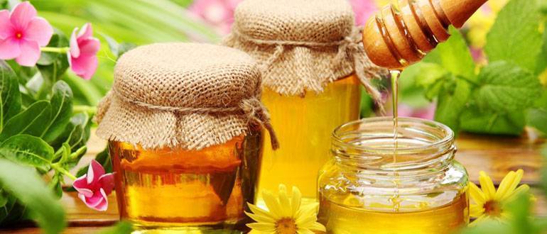 Как отличить натуральный гречишный мед от подделки