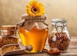Мед с прополисом - полезные свойства и применение