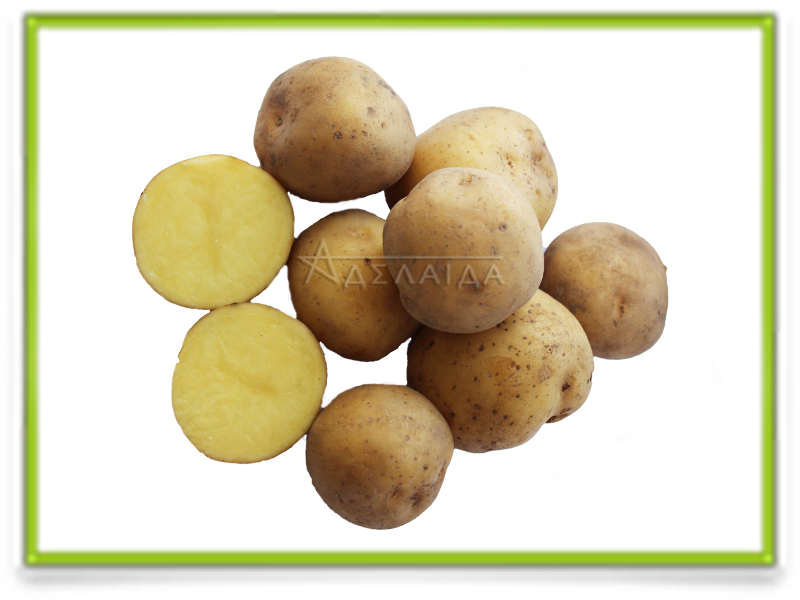 Картошка ривьера: описание сорта, характеристика, отзывы