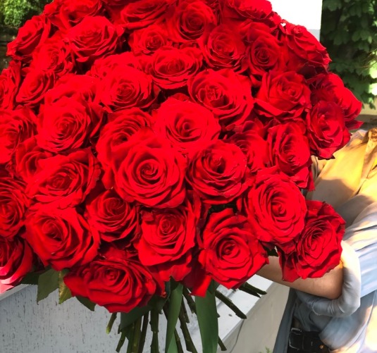 Об алых розах: описание и характеристики лучших сортов ярко красных роз