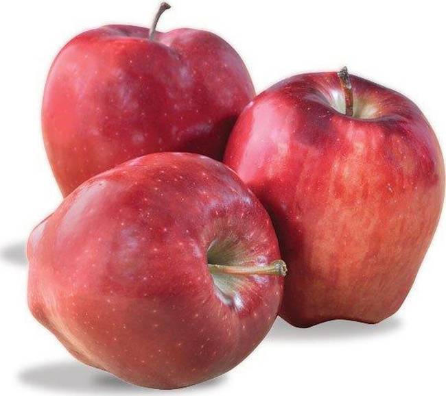Яблоня айдаред – неприхотливый, высокоурожайный сорт со сладкими плодами