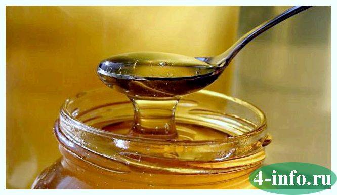 Как бороться с температурой с помощью меда? можно ли мед при температуре?