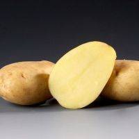 Картофель "джувел": описание сорта, фото и характеристики семенной картошки