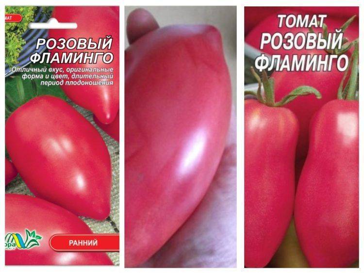 Крупный томат розовый фламинго: гордость садовода и 4 достоинства