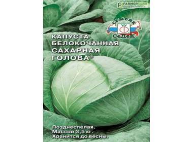 Капуста белорусская 455, 85: описание сорта, фото, отзывы, посадка и уход, выращивание
