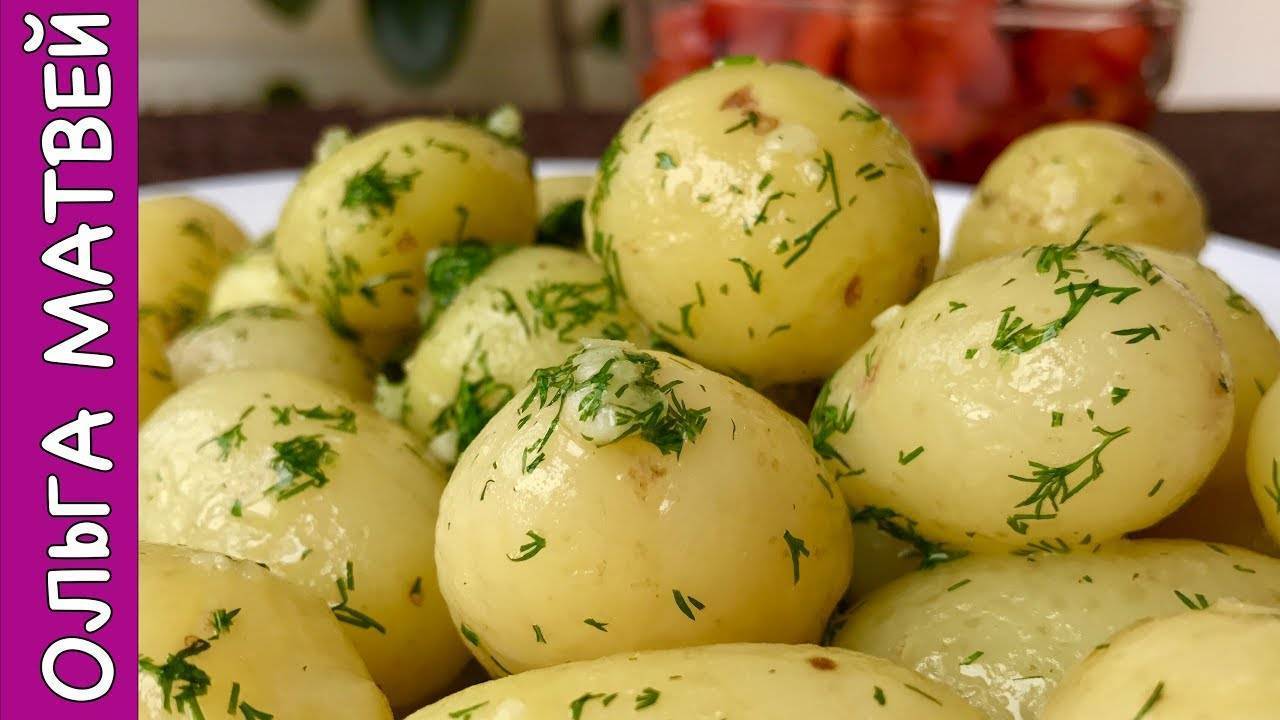 Сорта картофеля — описание, характеристика, регион выращивания