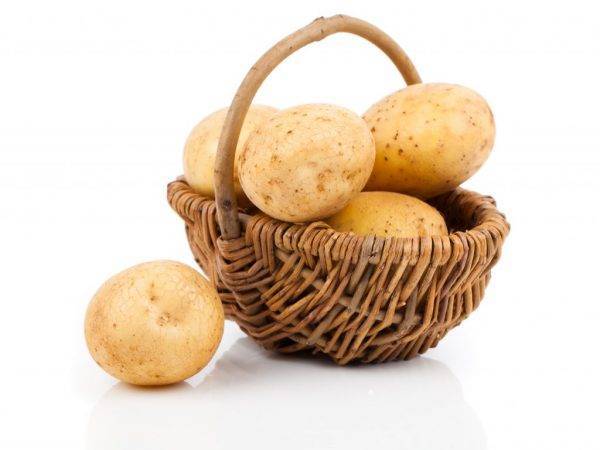 Картофель елизавета: описание и характеристика, отзывы